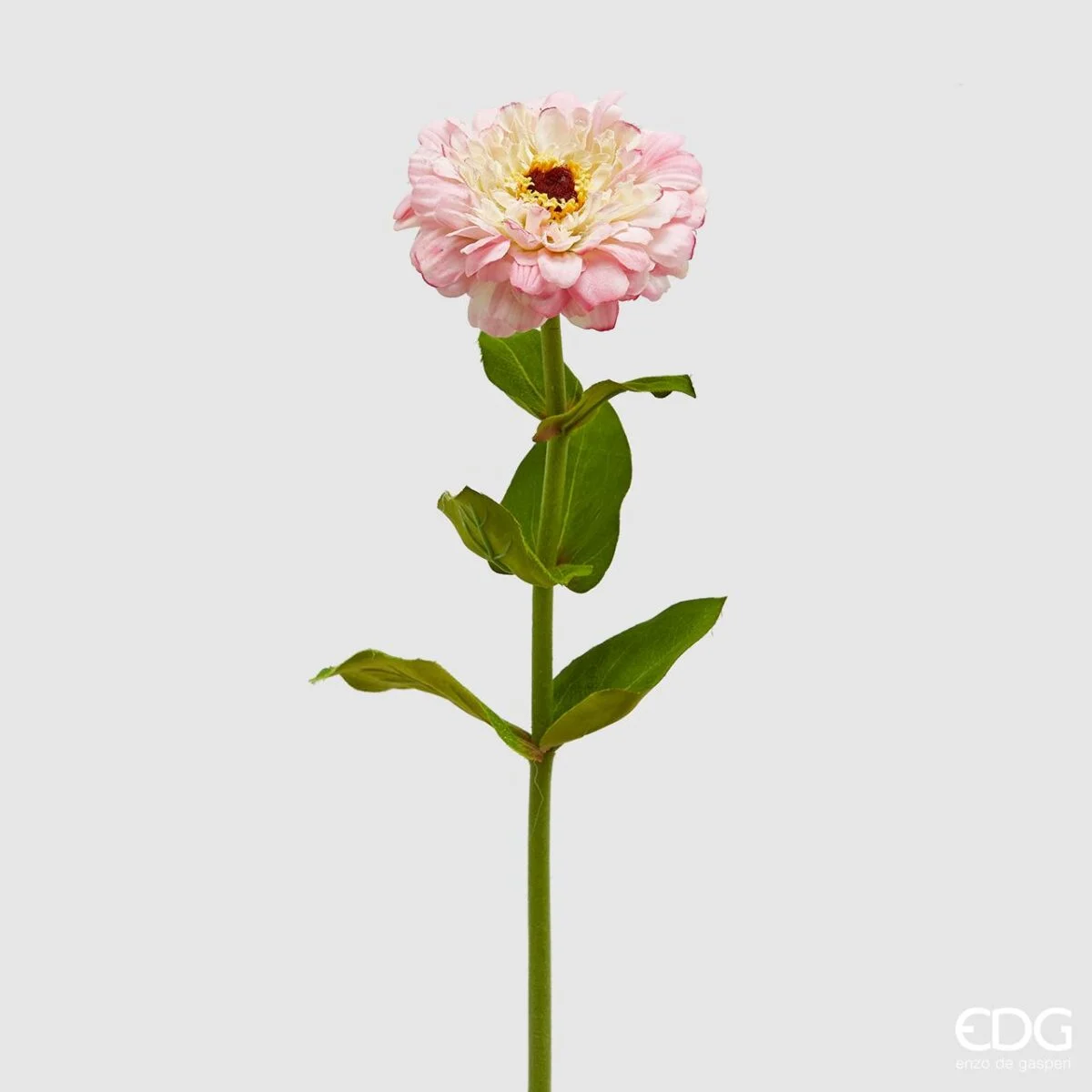 vase haylee